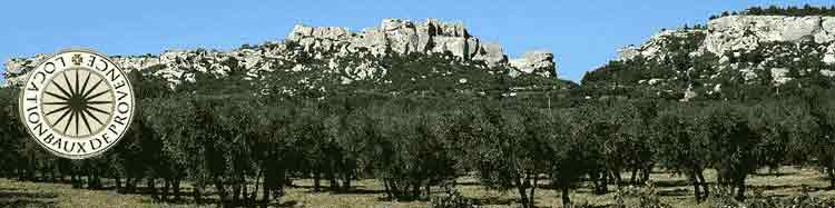 LOCATION de particulier, BAUX DE PROVENCE, ALPILLES : maison, mas avec piscine