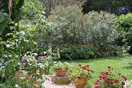 Location proprit de prestige et caractre, jardin, Baux de Provence, Alpilles